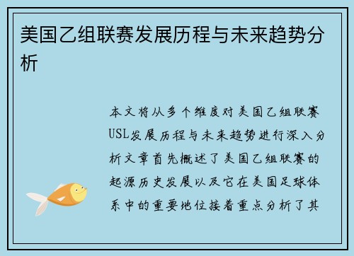 美国乙组联赛发展历程与未来趋势分析